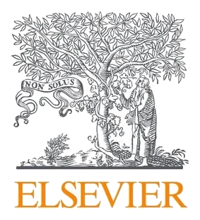 Publication & Manuscript Preparation